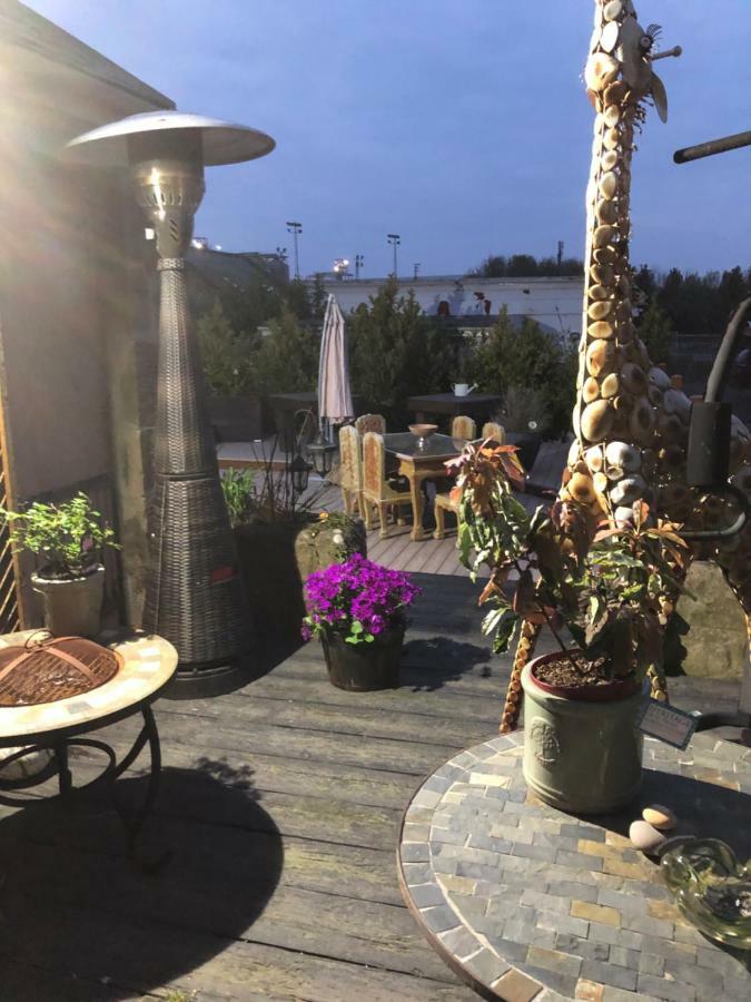 فندق Belmont House Boutique - The Kingsley Collection Berwick Upon Tweed المظهر الخارجي الصورة